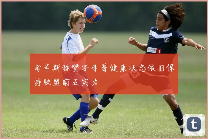 考辛斯称赞字母哥健康状态依旧保持联盟前五实力